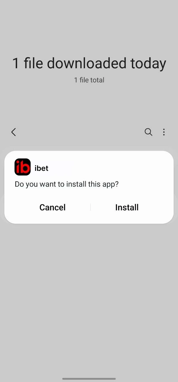 Complete the installation and enjoy playing in the iBet app.