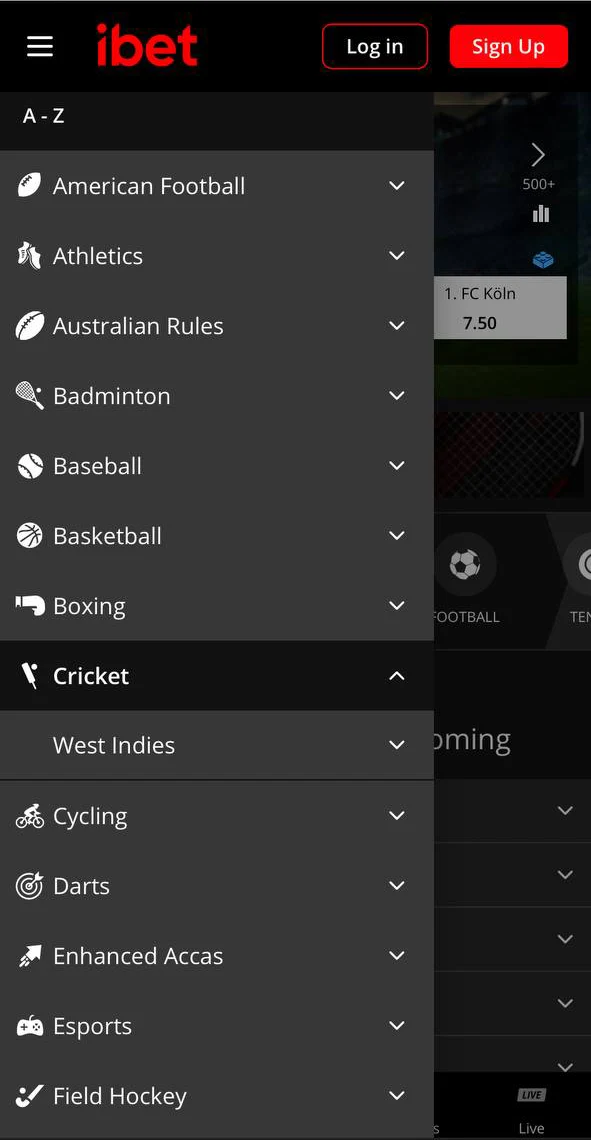 Bet on cricket with iBet.