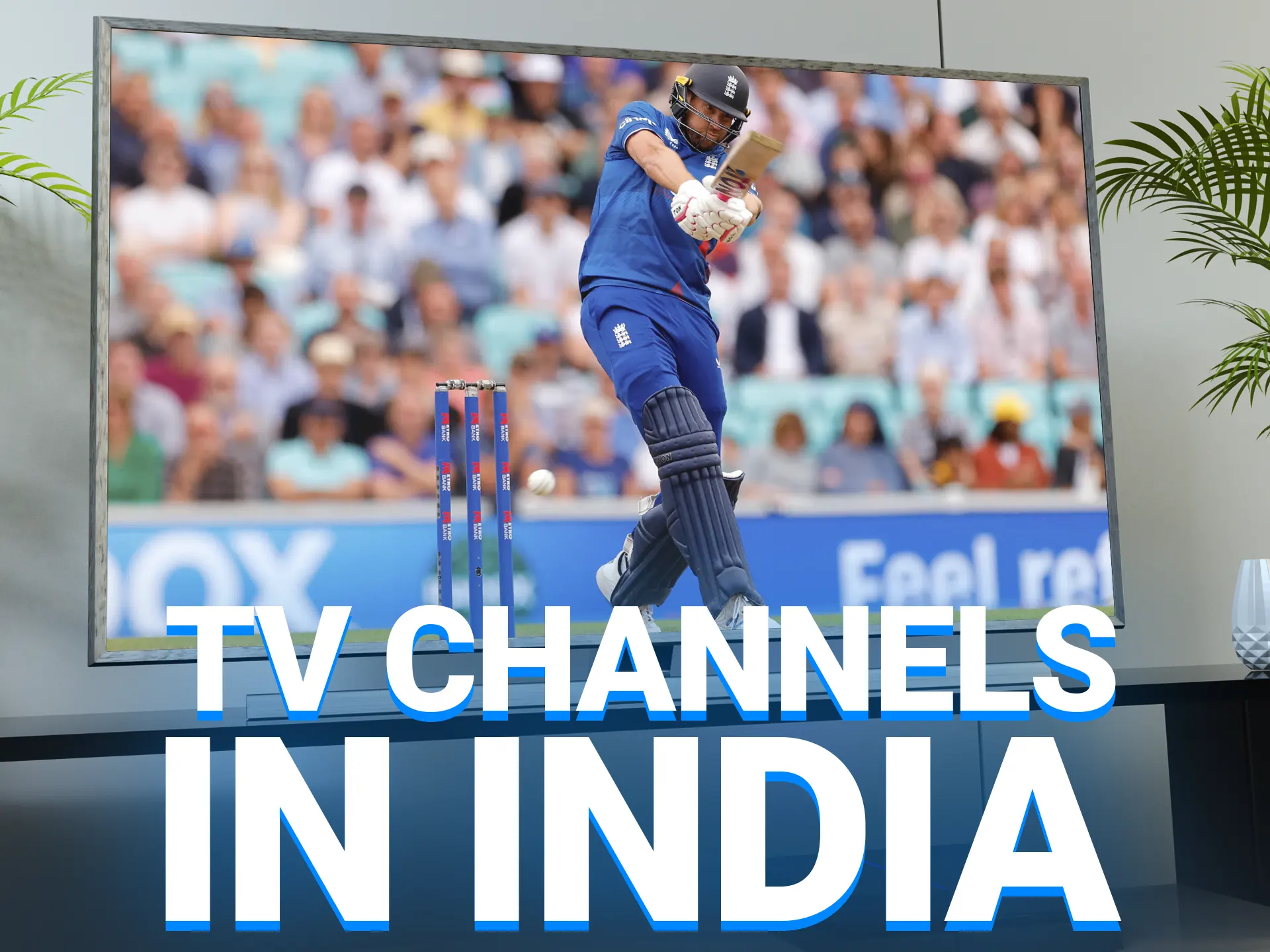 Check out the list of most popular TV channels in India to watch cricket tournaments.