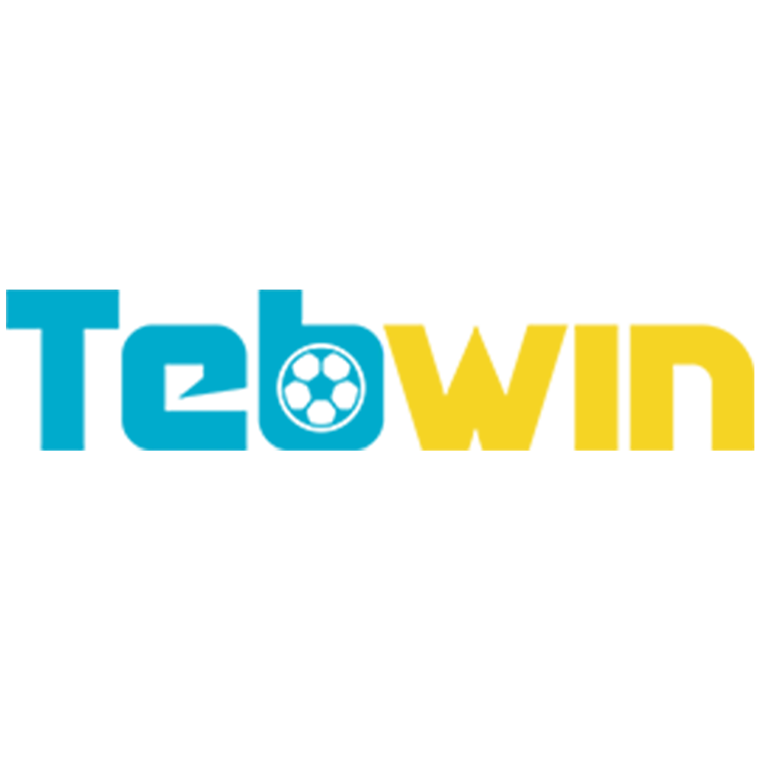 Play at Tebwin online casino and bet on your favorite sporting events.